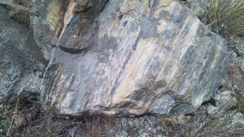 Гигантские зелёные валуны для ландшафтного дизайна весом более 5 тонн купить в Невьянске