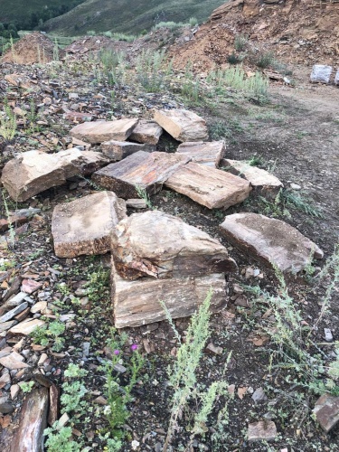 Плитняк кора дерева 50-100мм для пошаговых дорожек купить в Невьянске